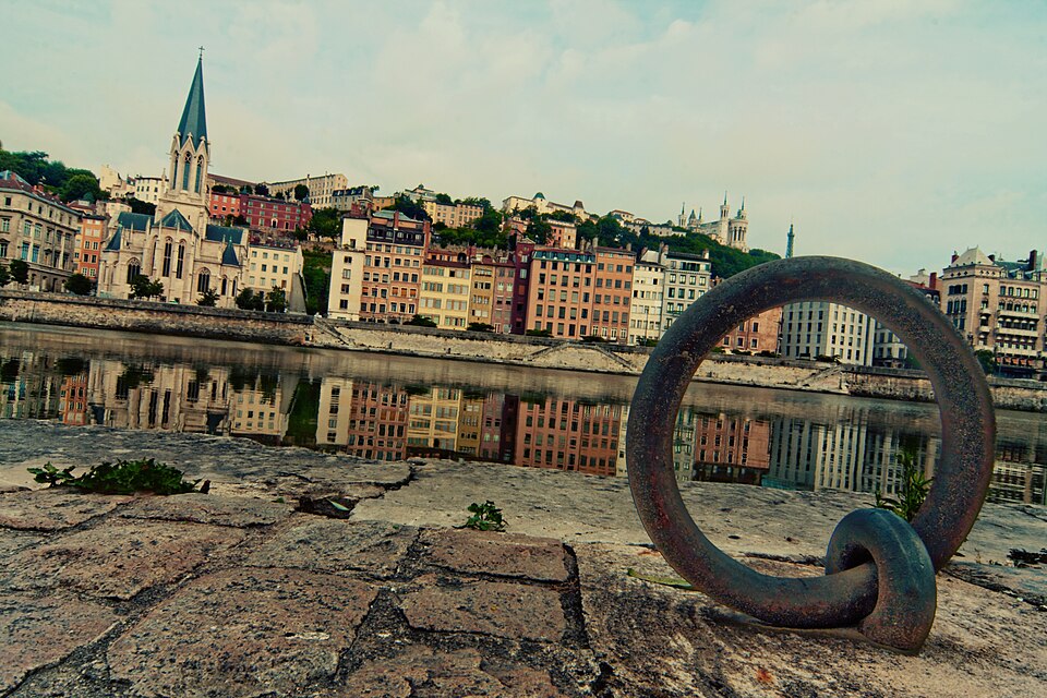 Lyon — Métropole de Lyon, zone d'intervention dératisation